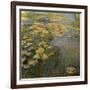 The Waterlily Pond, 1919-Claude Monet-Framed Giclee Print