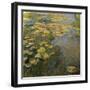 The Waterlily Pond, 1919-Claude Monet-Framed Giclee Print