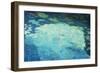 The Waterlily Pond, 1994-David Alan Redpath Michie-Framed Premium Giclee Print