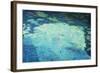 The Waterlily Pond, 1994-David Alan Redpath Michie-Framed Giclee Print