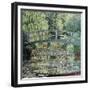 The Waterlily Pond: Green Harmony, 1899-Claude Monet-Framed Giclee Print