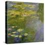 The Waterlily-Pond, (Le Bassin Aux Nymphéas), 1919-Claude Monet-Stretched Canvas