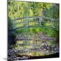 The Waterlily Pond with the Japanese Bridge, 1899-Claude Monet-Mounted Giclee Print