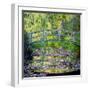 The Waterlily Pond with the Japanese Bridge, 1899-Claude Monet-Framed Premium Giclee Print