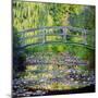 The Waterlily Pond with the Japanese Bridge, 1899-Claude Monet-Mounted Premium Giclee Print