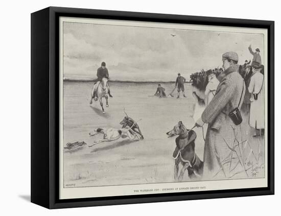 The Waterloo Cup, Coursing at Lydiate, Second Day-Cecil Aldin-Framed Stretched Canvas