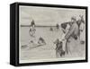 The Waterloo Cup, Coursing at Lydiate, Second Day-Cecil Aldin-Framed Stretched Canvas