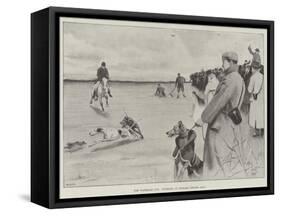 The Waterloo Cup, Coursing at Lydiate, Second Day-Cecil Aldin-Framed Stretched Canvas