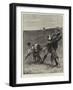 The Waterloo Cup Meeting, A Rare Handful-S.t. Dadd-Framed Giclee Print