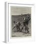 The Waterloo Cup Meeting, A Rare Handful-S.t. Dadd-Framed Giclee Print