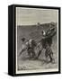The Waterloo Cup Meeting, A Rare Handful-S.t. Dadd-Framed Stretched Canvas