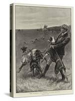 The Waterloo Cup Meeting, A Rare Handful-S.t. Dadd-Stretched Canvas