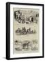 The Waterloo Cup, Notes at Altcar-null-Framed Giclee Print