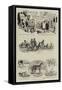 The Waterloo Cup, Notes at Altcar-null-Framed Stretched Canvas