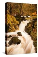 The Waters of Dob Gill in the Lake District in Full Flow after Heavy Autumn Rainfall-Julian Elliott-Stretched Canvas