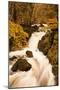 The Waters of Dob Gill in the Lake District in Full Flow after Heavy Autumn Rainfall-Julian Elliott-Mounted Photographic Print