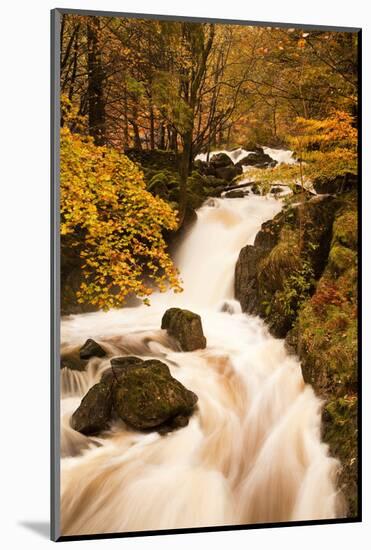 The Waters of Dob Gill in the Lake District in Full Flow after Heavy Autumn Rainfall-Julian Elliott-Mounted Photographic Print