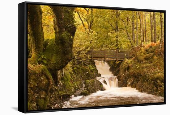 The Waters of Launchy Gill in the Lake District in Full Flow after Heavy Autumn Rainfall-Julian Elliott-Framed Stretched Canvas