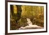 The Waters of Launchy Gill in the Lake District in Full Flow after Heavy Autumn Rainfall-Julian Elliott-Framed Photographic Print