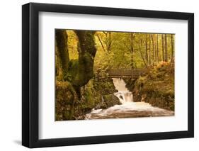 The Waters of Launchy Gill in the Lake District in Full Flow after Heavy Autumn Rainfall-Julian Elliott-Framed Photographic Print