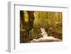 The Waters of Launchy Gill in the Lake District in Full Flow after Heavy Autumn Rainfall-Julian Elliott-Framed Photographic Print