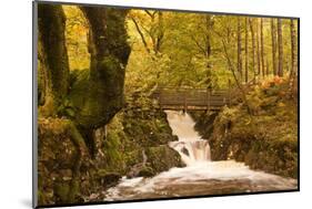 The Waters of Launchy Gill in the Lake District in Full Flow after Heavy Autumn Rainfall-Julian Elliott-Mounted Photographic Print