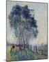 The Wattles-Elioth Gruner-Mounted Giclee Print