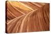 The Wave, Abstract, Zion, Utah, USA-John Ford-Stretched Canvas