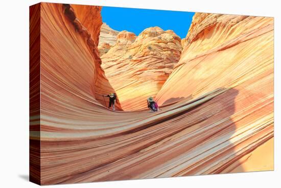 The Wave, Arizona-lucky-photographer-Stretched Canvas