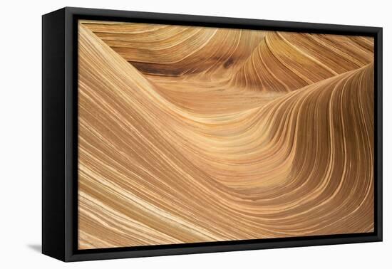 The Wave-null-Framed Stretched Canvas