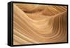 The Wave-null-Framed Stretched Canvas