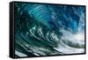 The Wave-PhotoINC-Framed Stretched Canvas