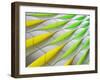 the wave-Gerard Jonkman-Framed Photographic Print