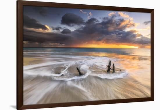 The Waves and Caribbean Sunset Frames Tree Trunks on Ffryes Beach, Antigua, Antigua and Barbuda-Roberto Moiola-Framed Photographic Print