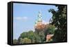 The Wawel Castle in Krakov-neuartelena-Framed Stretched Canvas