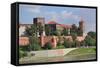 The Wawel Castle in Krakov-neuartelena-Framed Stretched Canvas