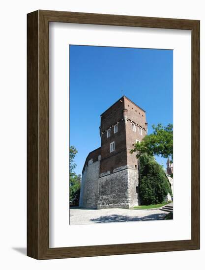 The Wawel Castle in Krakov-neuartelena-Framed Photographic Print