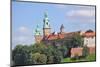 The Wawel Castle in Krakov-neuartelena-Mounted Photographic Print