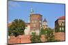 The Wawel Castle in Krakov-neuartelena-Mounted Photographic Print
