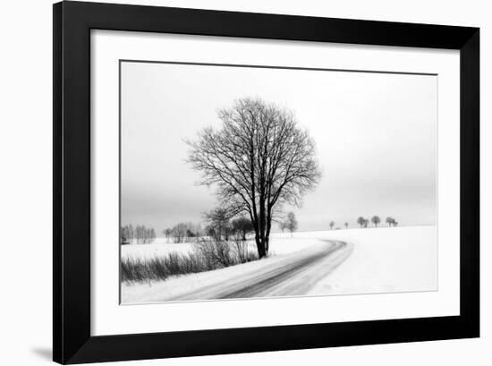 The Way Home-Ily Szilagyi-Framed Giclee Print