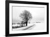 The Way Home-Ily Szilagyi-Framed Giclee Print