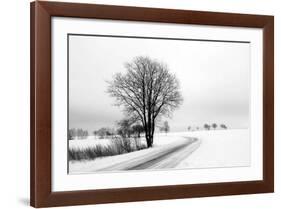 The Way Home-Ily Szilagyi-Framed Giclee Print