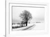 The Way Home-Ily Szilagyi-Framed Giclee Print