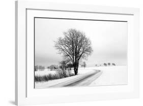 The Way Home-Ily Szilagyi-Framed Giclee Print