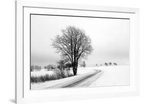 The Way Home-Ily Szilagyi-Framed Giclee Print