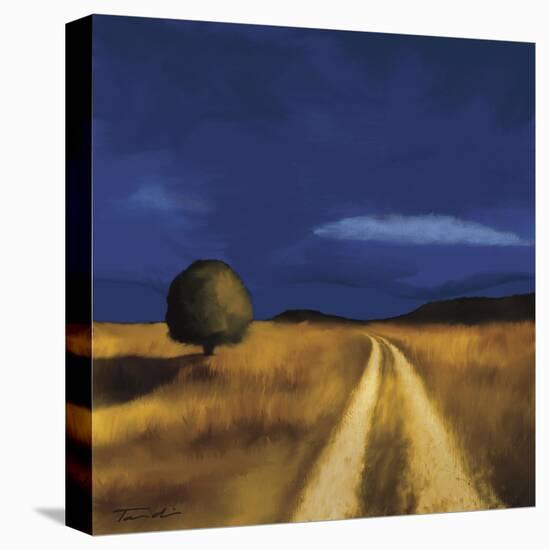 The Way Home-Tandi Venter-Stretched Canvas