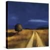 The Way Home-Tandi Venter-Stretched Canvas