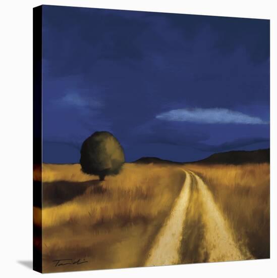 The Way Home-Tandi Venter-Stretched Canvas