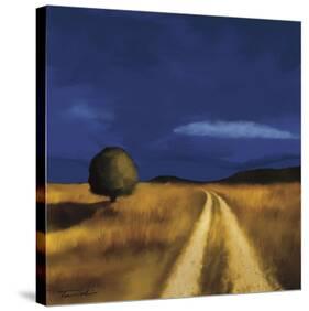 The Way Home-Tandi Venter-Stretched Canvas