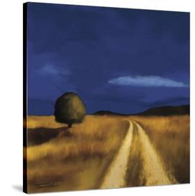 The Way Home-Tandi Venter-Stretched Canvas